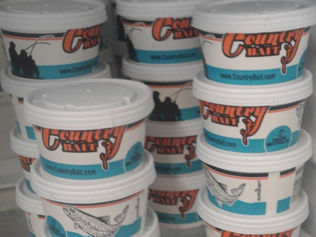 Bait Worms