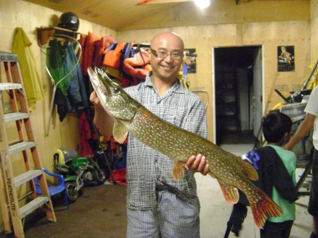 Lawrence Park Little Lake Fish 13