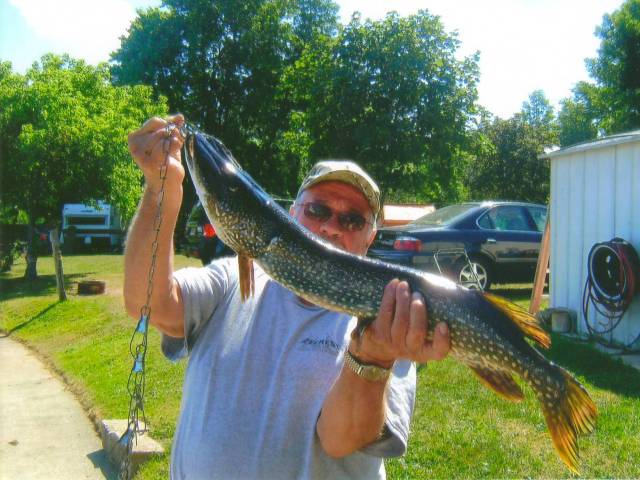 Lawrence Park Little Lake Fish 15